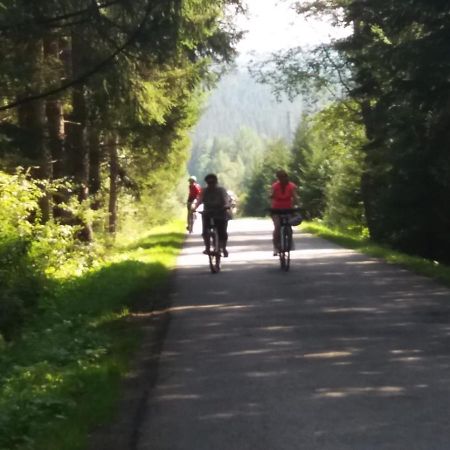 Černá v Pošumaví Apartmán Esterno foto